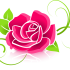 rose vector